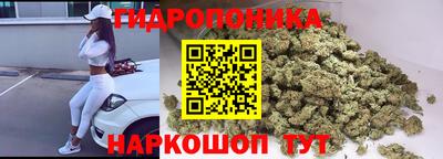 мяу мяу мука Апшеронск